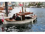 This delightful little steam launch was fitted with a vertical boiler.